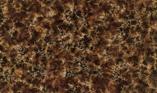 几何瓷砖属于几线品牌 几何瓷砖属于几线品牌